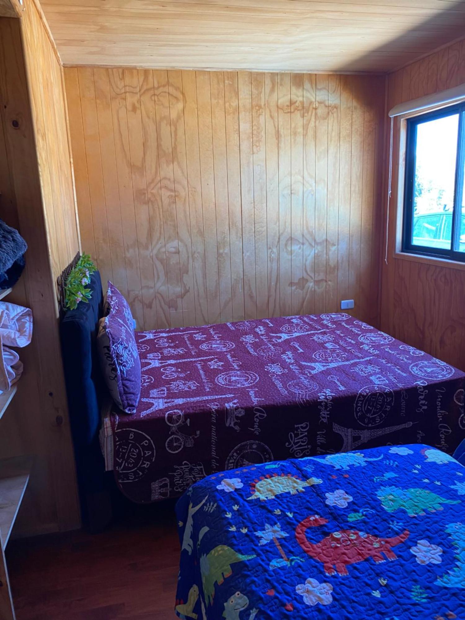 Carykat 27 * Algarrobo